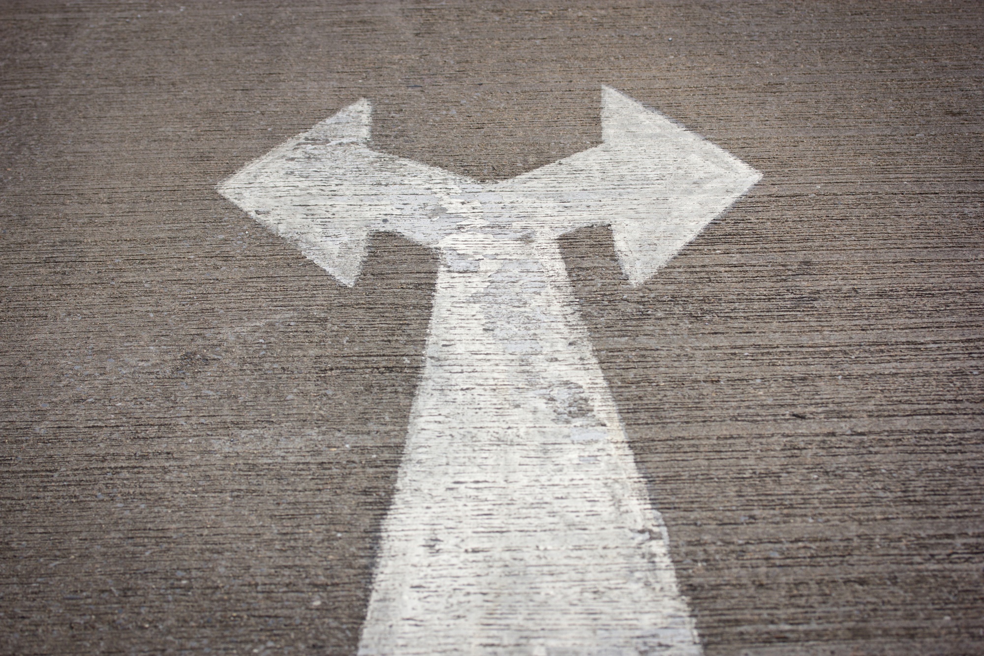 Future Prediction Future Prediction